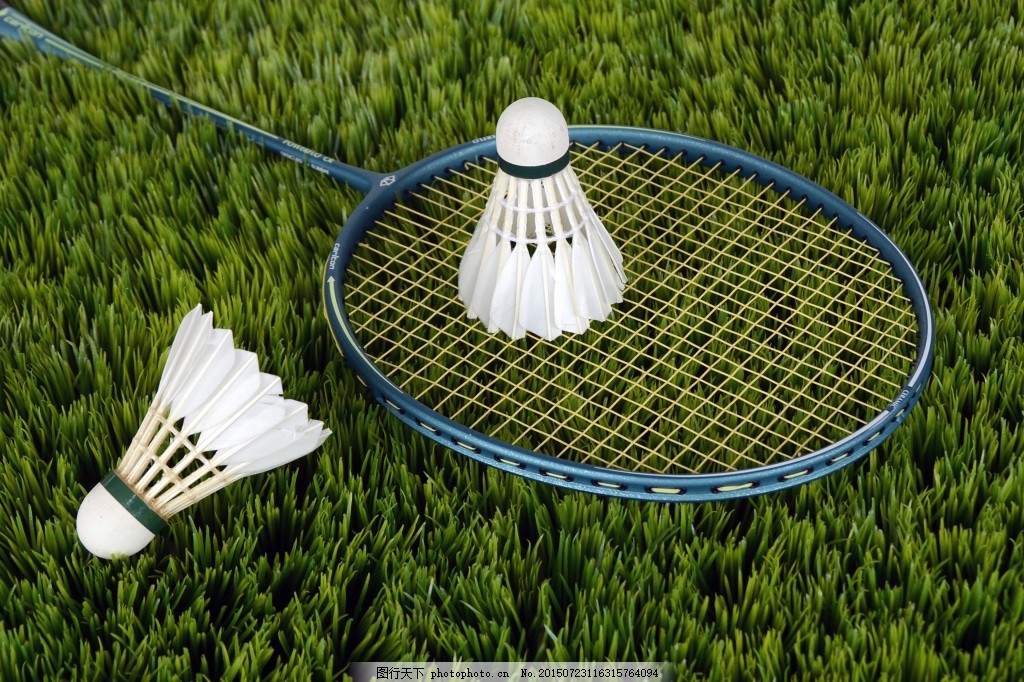 Tennis and Badminton Racket Solutions